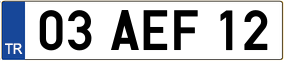 Trailer License Plate